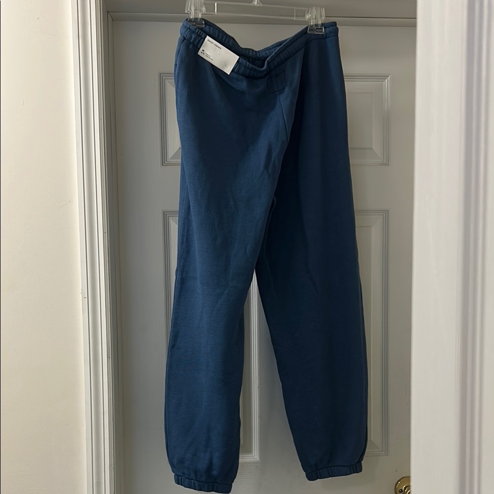 American Eagle Outfitters Blue baggy joggers. Brand new with tags. Size medium